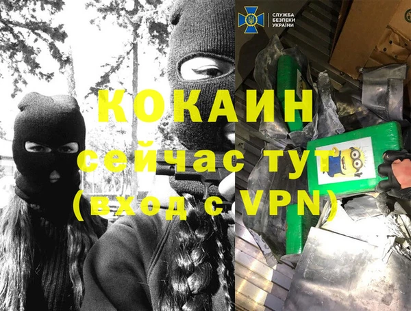ПСИЛОЦИБИНОВЫЕ ГРИБЫ Аркадак