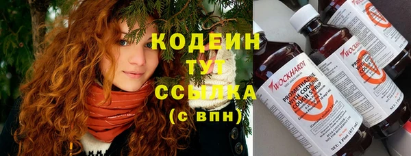 ПСИЛОЦИБИНОВЫЕ ГРИБЫ Аркадак