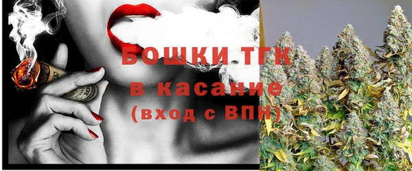 ПСИЛОЦИБИНОВЫЕ ГРИБЫ Аркадак