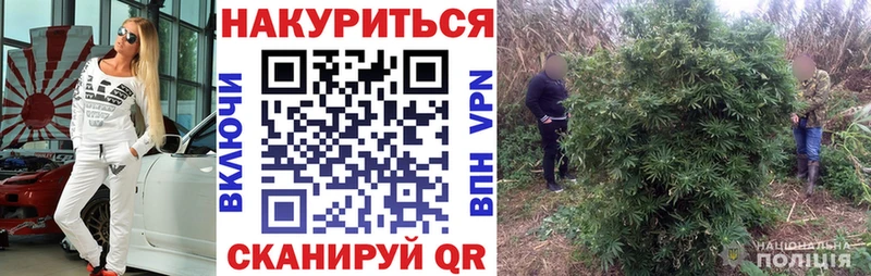 Каннабис сатива  Таштагол 
